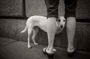 短信轰炸